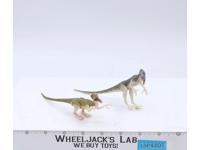 Coelophysis JP04 Sprinters Jurassic Park 1992 Kenner Action Figure