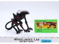 Night Cougar Alien Xenomorph Aliens COMPLETE 1993 Kenner Vintage Action Figure