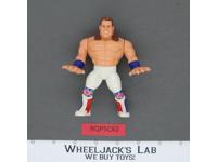 British Bulldog Davey Boy Smith 100% Complete WWF Wrestling 1991 Hasbro Vintage