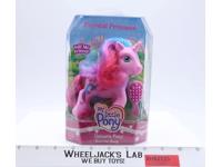 Sunrise Song Unicorn Pony G3 My Little Pony Crystal Princess 2006 Hasbro NEW MIB