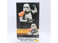 TMS041 Stormtrooper Squad Leader Star Wars The Mandalorian Hot Toys 1:6 NEW MIB