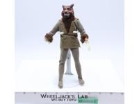 Human Wolfman Mad Monsters World's Greatest Super Heroes Mego 1973 8" Figure