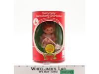 Berry Baby Strawberry Shortcake Drinks Wets 1984 Kenner Vintage Doll NEW MISB