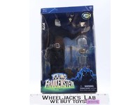 Igor Young Frankenstein Limited Edition 2001 Sideshow Action Figure NEW SEALED