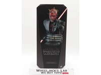 TMS024 Darth Maul Star Wars 2022 Hot Toys 1/6 Scale Action Figure NEW MIB