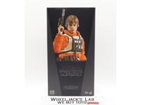 MMS585 Luke Skywalker Snowspeeder Pilot Star Wars ESB Hot Toys 1/6 NEW MIB