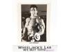 The Incredible Hulk Lou Ferrigno AUTOGRAPHED 8x10 Picture