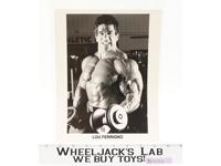 The Incredible Hulk Lou Ferrigno AUTOGRAPHED 8x10 Picture
