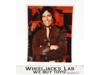 Captain Apollo Battlestar Galactica Richard Hatch AUTOGRAPHED 8x10 Photo