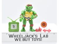 Raphael Ninja Toon 100% Complete 1988 TMNT Teenage Mutant Ninja Turtle Playmates
