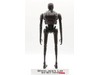 Rogue One K-2SO Droid Star Wars Big Figs 2016 Jakks Pacific 20" Action Figure