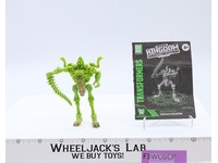 Dracodon 100% Complete Transformers WFC Kingdom 2021 Hasbro Action Figure