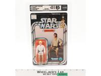 Luke Skywalker Farmboy AFA GRADED 85 80/85/85 12 Back-C Star Wars Kenner NEW