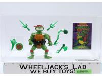Storage Shell Raphael Black Belt Green Access. CAS GRADED 80 TMNT 1994 Playmates