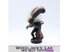 Alien Extreme Head Knockers Aliens 2004 NECA Bobble Head NEW MIB
