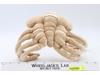 Face Hugger Facehugger Alien Plush Alien 2004 Palisades Poseable Stuffed Plush