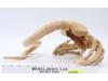 Face Hugger Facehugger Alien Plush Alien 2004 Palisades Poseable Stuffed Plush