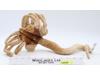 Face Hugger Facehugger Alien Plush Alien 2004 Palisades Poseable Stuffed Plush