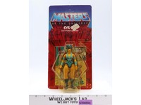 Evil-Lyn 12-Back He-Man Masters of the Universe MOTU 1982 Mattel NEW SEALED