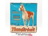 Thunderbolt Johnny West Best of the West 1960s Marx Vintage Horse With Box