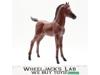 Thundercolt Horse Western Range Colt #2031B Johnny West Series Marx 10" Vintage