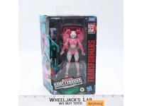 Arcee Transformers Earthrise War for Cybertron 2020 Hasbro Figure NEW SEALED