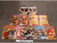 WWF 1994 Pro Wrestling Illustrated Magazine Lot of 11 *Hulk Hogan*