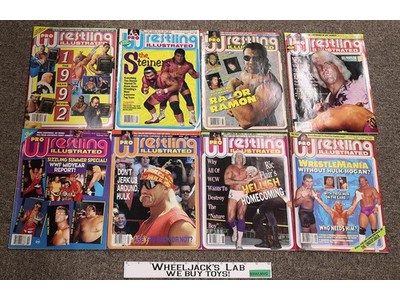 WWF 1993 Pro Wrestling Illustrated Magazine Lot of 8 w/ Posters