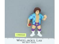 Carlito WWE WWF Grapplers & Gimmicks Hasttel Retro Action Figure