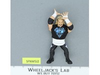 Dallas Diamond Page DDP WWF WWE Wrestling Megastars Chella Epic Toys Figure