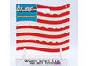Collector's Showcase Flag Display GI Joe 1986 Hasbro Vintage