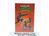 Raphael Karate Turtles Warriors TMNT KO Made in China Vintage 10" Action Figure