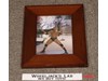 Batista WWF WWE Wrestling Steiner Sports Framed AUTOGRAPHED 8x10 W/ COA