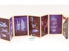 Disneyland Haunted Mansion 12 Scenes Postcard Photo Album 1970s Vintage