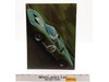 1970 Hot Wheels Annual Catalog RARE Mattel Vintage