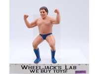 Andre The Giant Short Hair 1986 WWF LJN Titan Sports 8" Wrestling Superstars