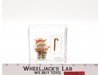 Yoda Orange Snake Light Green HK CAS GRADED 70 Star Wars 1980 Kenner Figure
