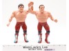British Bulldogs Dynamite Kid Davey Boy WWF 1986 LJN Titan Sports 8" Wrestling
