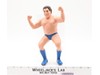 Andre The Giant Short Hair 1986 WWF LJN Titan Sports 8" Wrestling Superstars