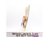 Owen Hart Series 7 WWF Wrestling 1993 Hasbro Action Figure NEW MOSC SEALED