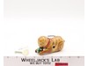 Wind Up Rolling Cat Vintage 1940s/50s Wind Up Tin Litho Toy MIB