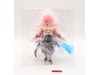 Crimson Masked Saiyan Super Saiyan Rose Full Power Masterlise Last One Prize