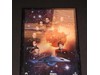 Cast of Star Trek Voyager AUTOGRAPHED Plaque 8 Signatures Mulgrew/Picardo/Ryan