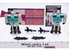 Pounce & Wingspan 100% Complete Vintage 1987 G1 Transformers Action Figure
