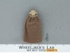 Squid Head 100% Complete Star Wars ROTJ 1983 Vintage Kenner Figure NO REPRO