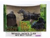 Ringwraith/Deluxe Horse/Rider The Lord of the Rings Fellowship of the Ring MISB
