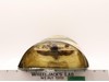 Newborn Lurtz The Lord of the Rings Fellowship of the Ring ToyBiz NEW SEALED