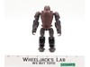 Optimus Primal & Skullcruncher Transformers Rise of the Beasts ROTB 2023 Hasbro