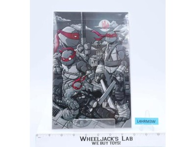 TMNT Universe #22 IDW Showcase Comics AUTOGRAPHED by Artist Tim Lattie