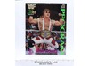WWF Lineup Sheet Orlando 1/10/93 1993 Program Magazine 209 Shawn Michaels Poster